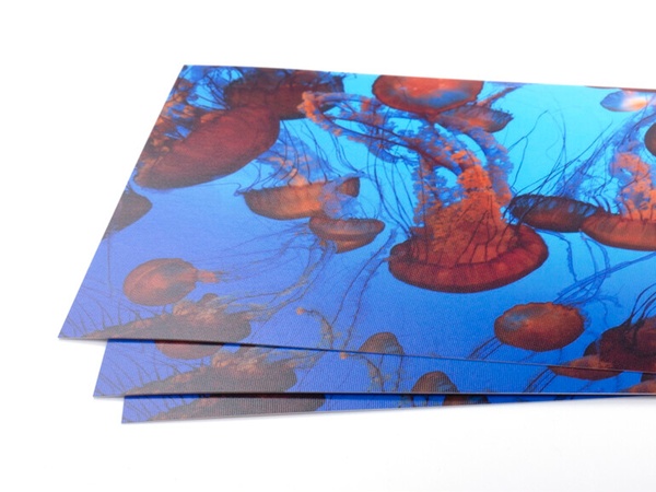 Tirage Silk Fuji DPII